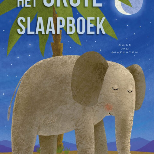 Het grote slaapboek