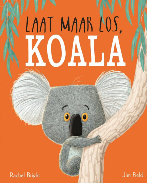 Laat maar los, koala (prentenboek)